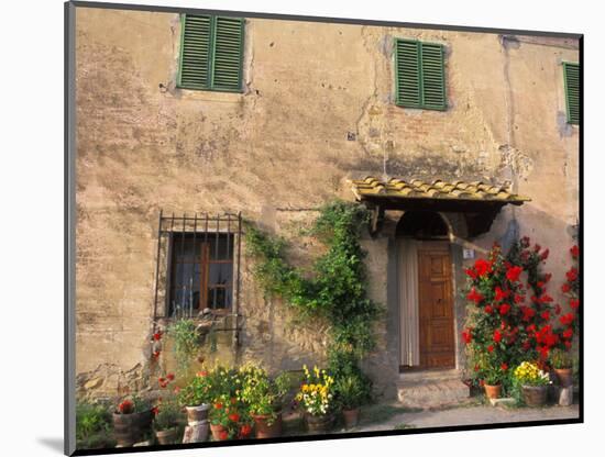 Old Home with Flowers at San Gimignano, Tuscany, Italy-Bill Bachmann-Mounted Photographic Print