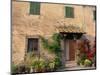 Old Home with Flowers at San Gimignano, Tuscany, Italy-Bill Bachmann-Mounted Photographic Print