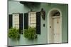 Old homes on Tradd Street, Charleston, South Carolina, USA-Bill Bachmann-Mounted Photographic Print