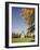 Old Hook Windmill, East Hampton, the Hamptons, Long Island, New York State, USA-Robert Harding-Framed Photographic Print