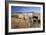 Old Horse-Drawn Wagons with the Rocky Mountains in the Background, Alberta, Canada-Miles Ertman-Framed Photographic Print