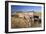 Old Horse-Drawn Wagons with the Rocky Mountains in the Background, Alberta, Canada-Miles Ertman-Framed Photographic Print