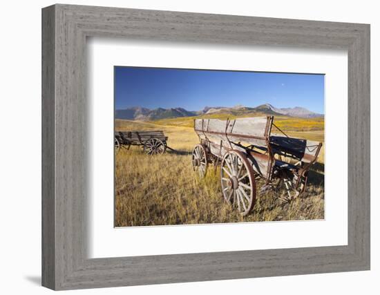 Old Horse-Drawn Wagons with the Rocky Mountains in the Background, Alberta, Canada-Miles Ertman-Framed Photographic Print