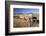 Old Horse-Drawn Wagons with the Rocky Mountains in the Background, Alberta, Canada-Miles Ertman-Framed Photographic Print