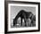 Old Horse-Jack Delano-Framed Giclee Print