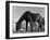 Old Horse-Jack Delano-Framed Giclee Print