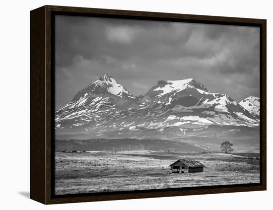 Old House Along the Rocky Mountain Front, Montana-Steven Gnam-Framed Premier Image Canvas