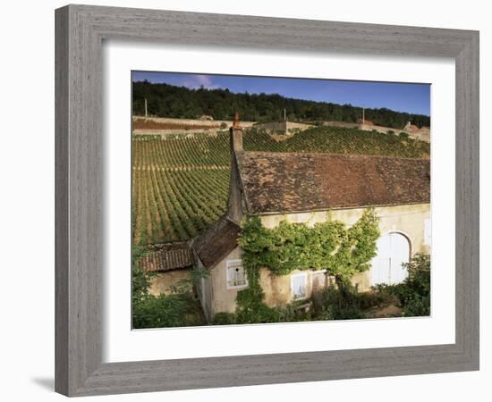 Old House and Vineyards, Bourgogne (Burgundy), France-John Miller-Framed Photographic Print