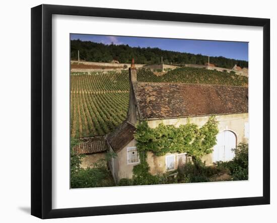 Old House and Vineyards, Bourgogne (Burgundy), France-John Miller-Framed Photographic Print