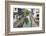 Old houses along the Grand Canal, Shaoxing, Zhejiang Province, China-Keren Su-Framed Photographic Print