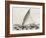 Old Illustration Of A Jangada, Traditional Fishing Boat Used In Northern Region Of Brazil-marzolino-Framed Art Print