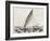 Old Illustration Of A Jangada, Traditional Fishing Boat Used In Northern Region Of Brazil-marzolino-Framed Art Print