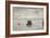 Old Illustration Of Amazon River Mouth, Brazil-marzolino-Framed Art Print