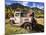 Old International Pickup Near Lake City, Colorado, USA-Dennis Flaherty-Mounted Photographic Print