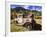 Old International Pickup Near Lake City, Colorado, USA-Dennis Flaherty-Framed Photographic Print