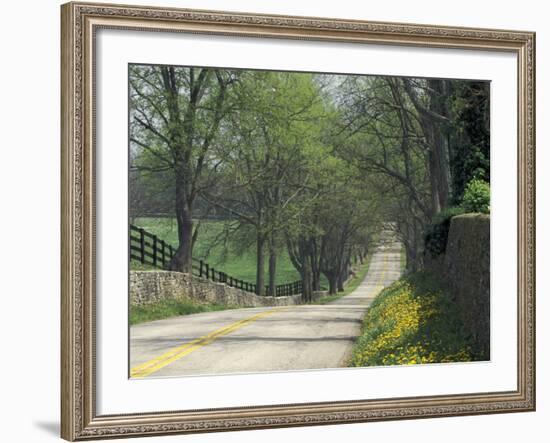 Old Iron Works Road, Lexington, Kentucky, USA-Adam Jones-Framed Photographic Print