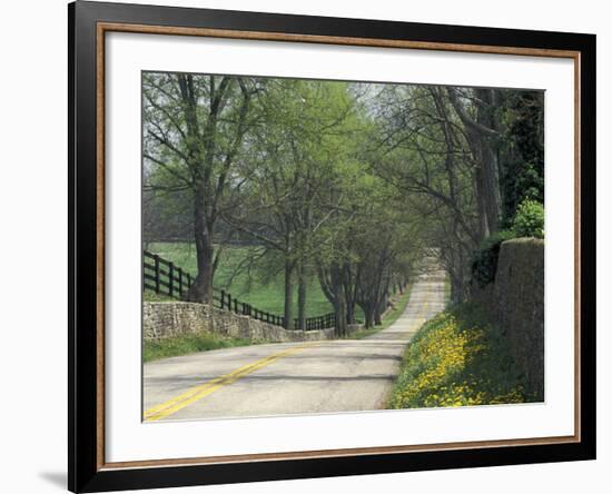 Old Iron Works Road, Lexington, Kentucky, USA-Adam Jones-Framed Photographic Print