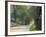 Old Iron Works Road, Lexington, Kentucky, USA-Adam Jones-Framed Photographic Print