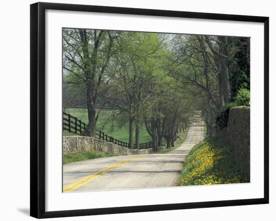 Old Iron Works Road, Lexington, Kentucky, USA-Adam Jones-Framed Photographic Print