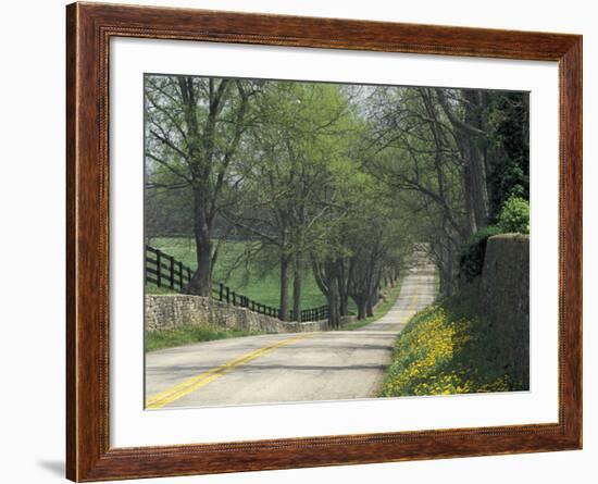 Old Iron Works Road, Lexington, Kentucky, USA-Adam Jones-Framed Photographic Print