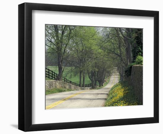 Old Iron Works Road, Lexington, Kentucky, USA-Adam Jones-Framed Photographic Print