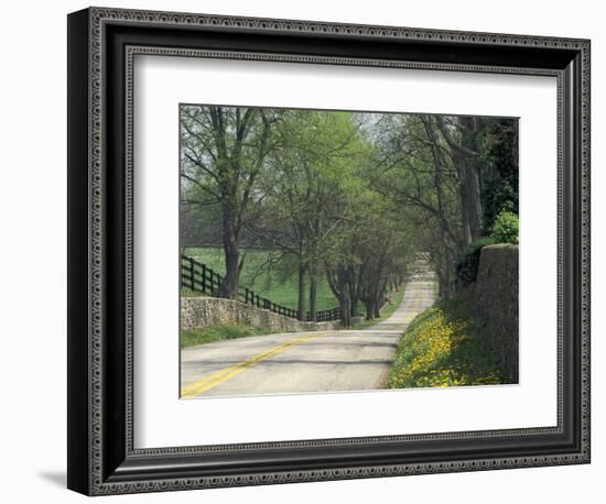 Old Iron Works Road, Lexington, Kentucky, USA-Adam Jones-Framed Photographic Print