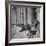 Old Italian Women Knitting While They Socialize in the Colonade of St. Peter's Square, Vatican City-Margaret Bourke-White-Framed Photographic Print