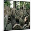 Old Jewish Cemetery, Josefov, Old Town, Prague, Central Bohemia, Czech Republic-null-Mounted Art Print