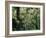 Old Jewish Cemetery, Josefov, Prague, Czech Republic-Upperhall-Framed Photographic Print