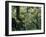 Old Jewish Cemetery, Josefov, Prague, Czech Republic-Upperhall-Framed Photographic Print