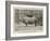 Old Jim, the Rhinoceros at the Zoo-null-Framed Giclee Print