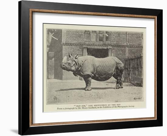 Old Jim, the Rhinoceros at the Zoo-null-Framed Giclee Print