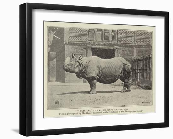 Old Jim, the Rhinoceros at the Zoo-null-Framed Giclee Print