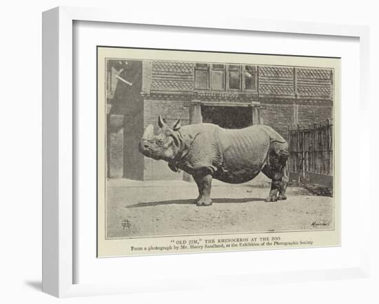 Old Jim, the Rhinoceros at the Zoo-null-Framed Giclee Print