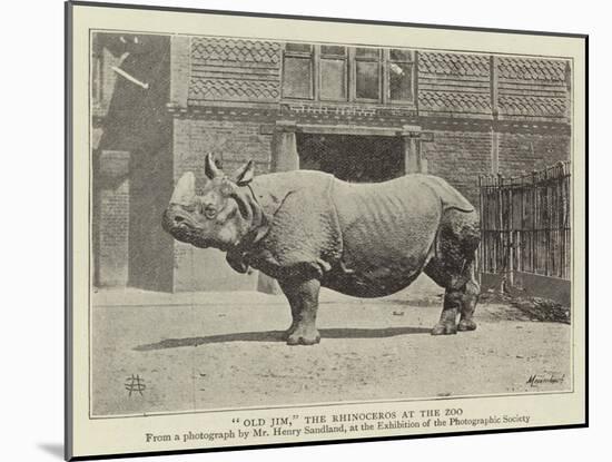 Old Jim, the Rhinoceros at the Zoo-null-Mounted Giclee Print