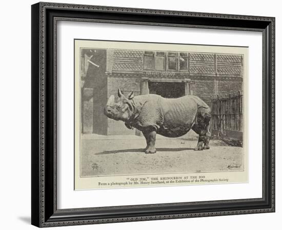 Old Jim, the Rhinoceros at the Zoo-null-Framed Giclee Print