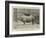 Old Jim, the Rhinoceros at the Zoo-null-Framed Giclee Print