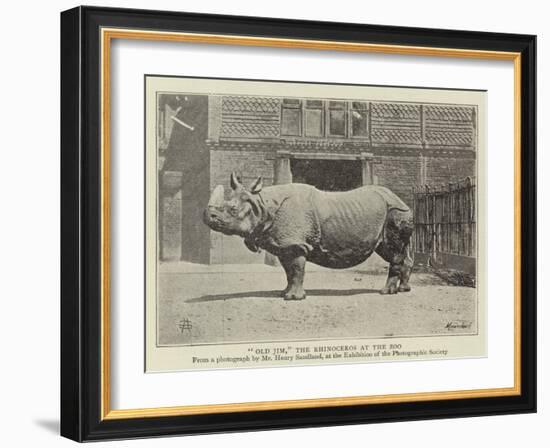 Old Jim, the Rhinoceros at the Zoo-null-Framed Giclee Print