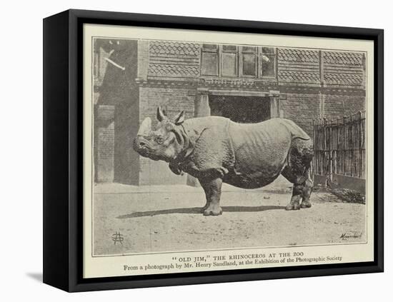 Old Jim, the Rhinoceros at the Zoo-null-Framed Premier Image Canvas