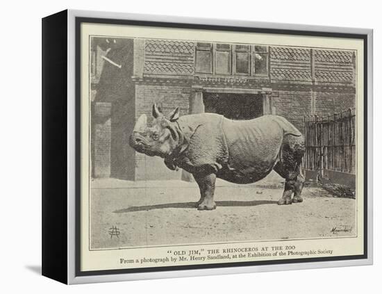 Old Jim, the Rhinoceros at the Zoo-null-Framed Premier Image Canvas