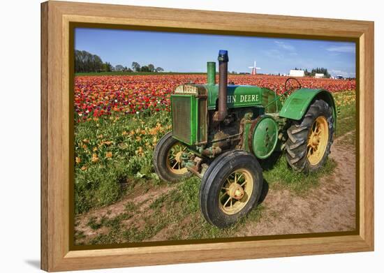 Old John Deere, Wooden Shoe Tulip Farm, Woodburn, Oregon, USA-Rick A^ Brown-Framed Premier Image Canvas