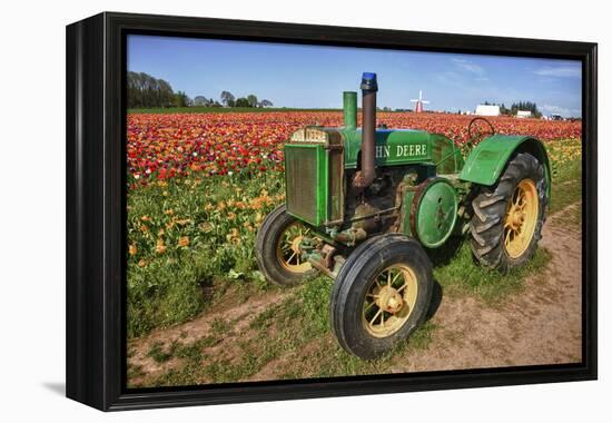 Old John Deere, Wooden Shoe Tulip Farm, Woodburn, Oregon, USA-Rick A^ Brown-Framed Premier Image Canvas