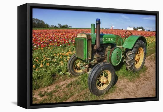 Old John Deere, Wooden Shoe Tulip Farm, Woodburn, Oregon, USA-Rick A^ Brown-Framed Premier Image Canvas