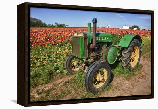 Old John Deere, Wooden Shoe Tulip Farm, Woodburn, Oregon, USA-Rick A^ Brown-Framed Premier Image Canvas