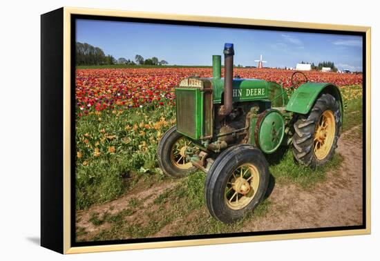 Old John Deere, Wooden Shoe Tulip Farm, Woodburn, Oregon, USA-Rick A^ Brown-Framed Premier Image Canvas