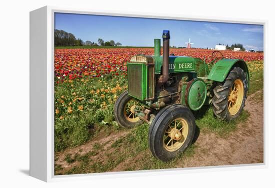 Old John Deere, Wooden Shoe Tulip Farm, Woodburn, Oregon, USA-Rick A^ Brown-Framed Premier Image Canvas