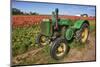 Old John Deere, Wooden Shoe Tulip Farm, Woodburn, Oregon, USA-Rick A^ Brown-Mounted Photographic Print