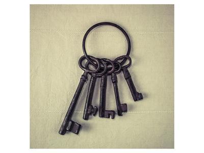 Old hotsell key ring