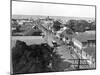 Old King Street Looking South, Kingston, Jamaica, C1905-Adolphe & Son Duperly-Mounted Photographic Print