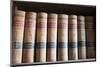 Old Law Books in Library Virginia City, Nevada, USA-Michael DeFreitas-Mounted Photographic Print